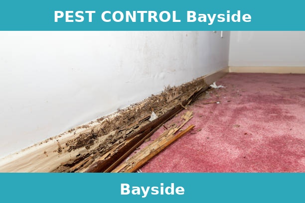 PEST CONTROL Bayside